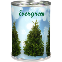 evergreen1