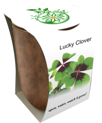 Lucky-Clover