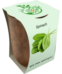 Spinach