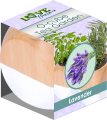 Ocube-lavender